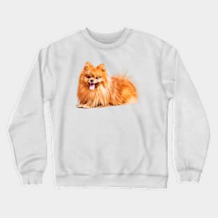 Cute Red Pomeranian Crewneck Sweatshirt